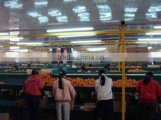 Jining Greenfarm Import And Export Co., Ltd. company overview - view 2