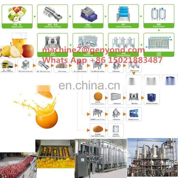 Factory hot sale juice line production with price