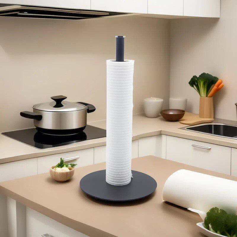 不锈钢纸巾架 (11)