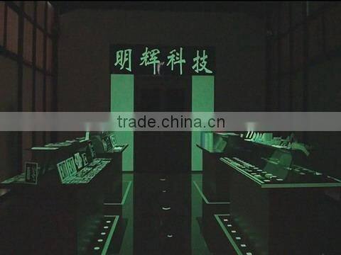 Zhejiang Minhui Luminous Technology Co., Ltd. company overview - view 1