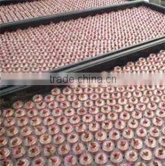 Bj Nature company overview - view 2