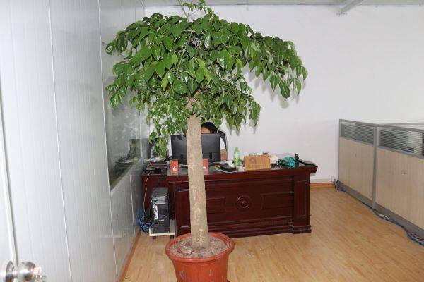 Anhui Zhongxinying Industrial Co.,Ltd company overview - view 3