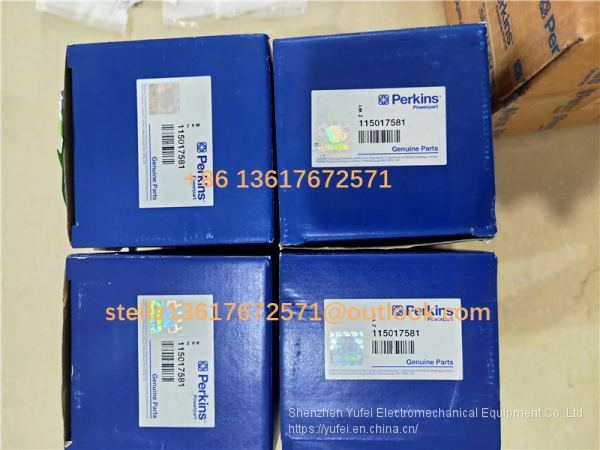 リントリン 115017581 115017715 Perkins Piston and Ring Kit for Perkins