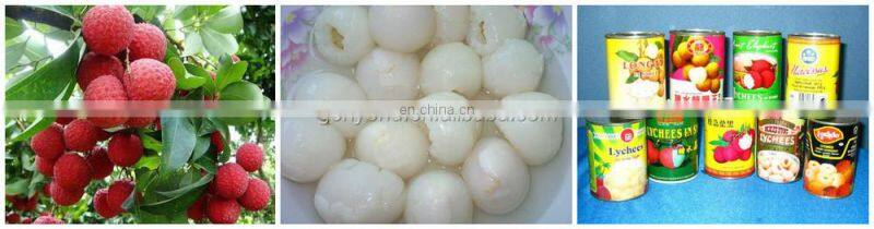 canned sweet litchi processing plant / litchi processing machine