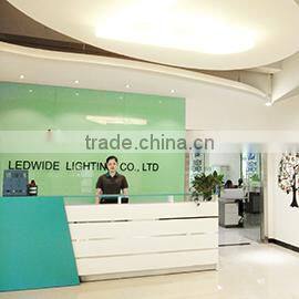 Shenzhen Ledwide Lighting Co., Ltd. company overview - view 1
