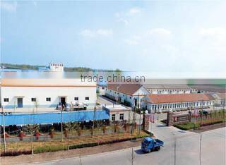 Shandong Wheatsun Food Co., Ltd. company overview - view 1
