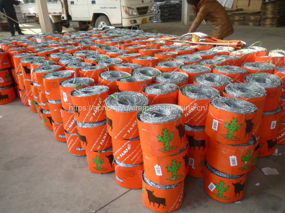 1781595_659589667442050_2013311094_o