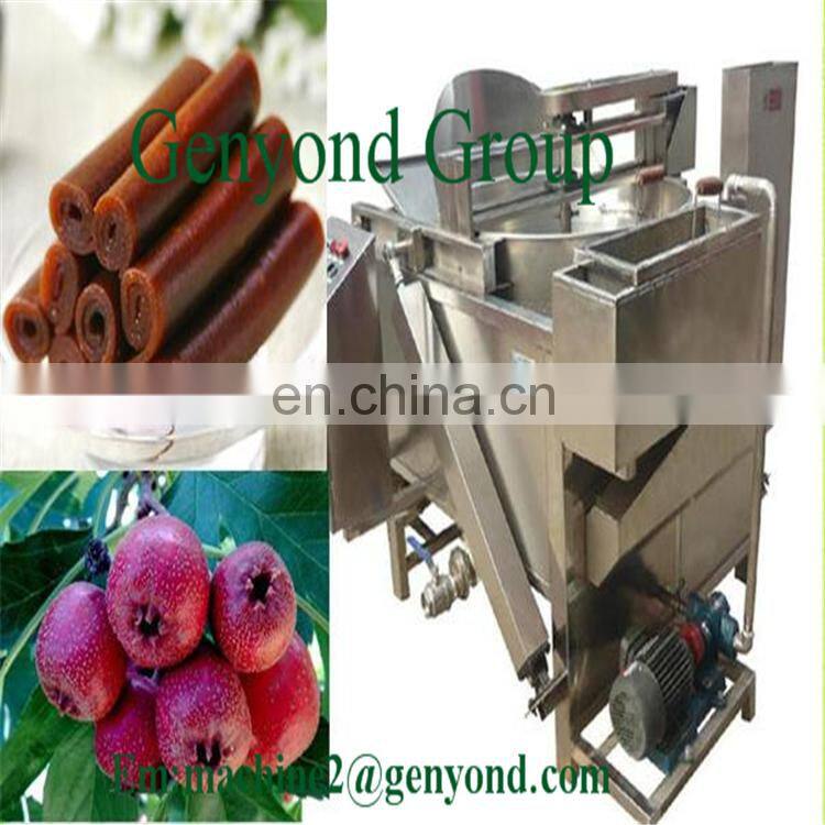 Factory Genyond Full Automatic Fruit leather production line processing plant Roll up scraping forming drying Making Machine