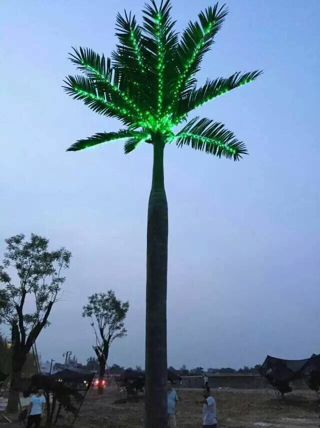 西安茯茶镇灯树 大王椰.png