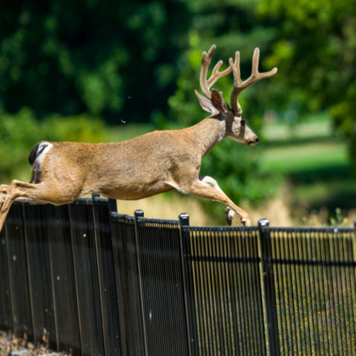 will 6 foot fence keep deer out