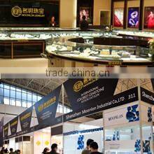 Shenzhen Moonlon Industrial Co., Ltd. company overview - view 1