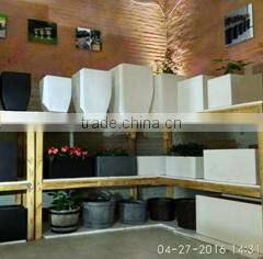 Guangdong Dragon Empire Trade Co., Limited company overview - view 3