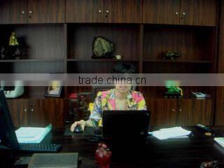 Guangdong Yiyuan Plastics Co., Ltd. company overview - view 3