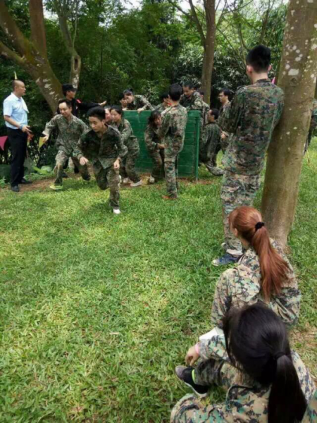 Company Staff Participate in Outdoor Training