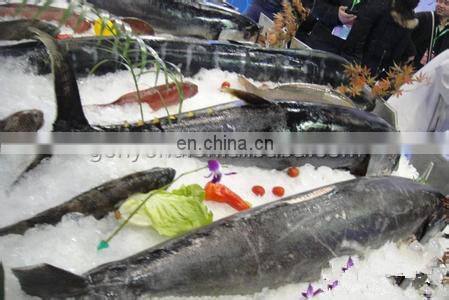 Fish Skin Scaler Machine/ Fish Scale Removing Machine/ fish descaler machine