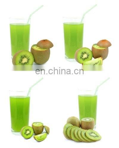 fruit juice sea buckthorn juice juice production line