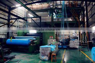 Xinxiang Huaxi Sanitary Materials Co., Ltd. company overview - view 3