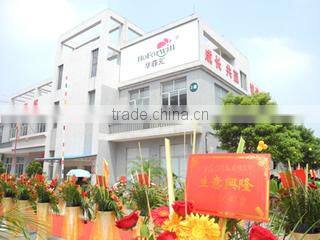 Foshan Tongxin Artificial Flowers Co., Ltd. company overview - view 1