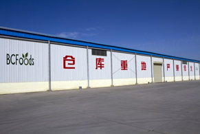 Bcfoods Gansu Co.,ltd. company overview - view 1