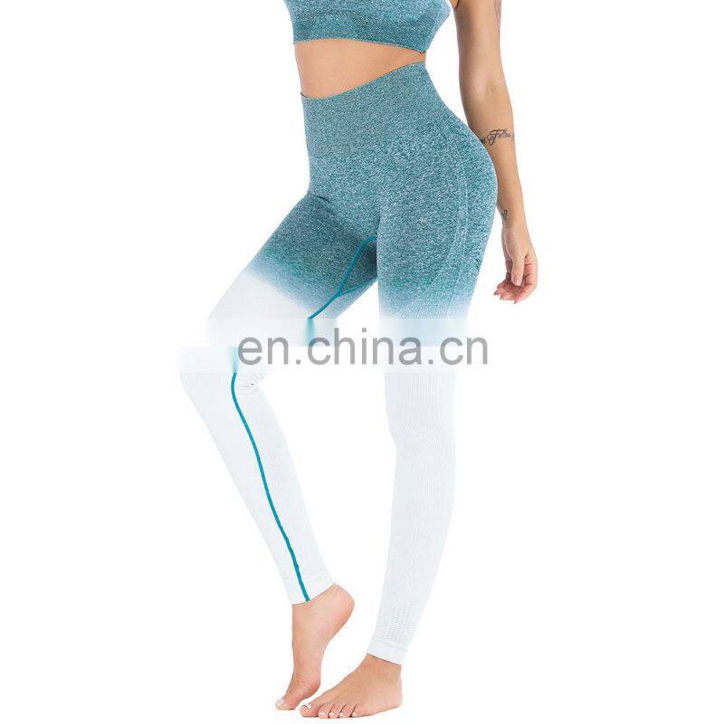 Hot selling sportswear seamless women tights leggings