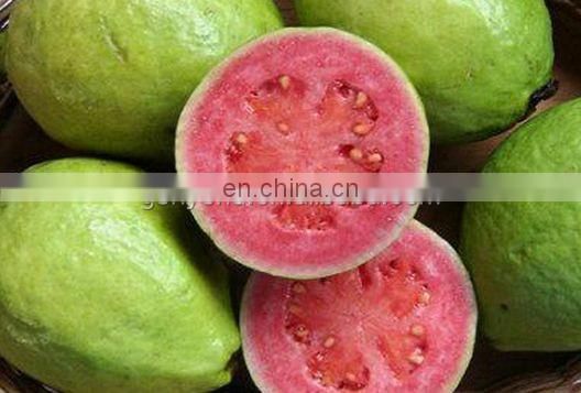 small capacity guava jam