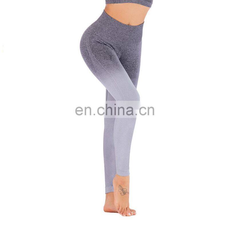 Hot selling sportswear seamless women tights leggings