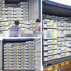 Xian Citymax Agrochemical Co., Ltd. company overview - view 2