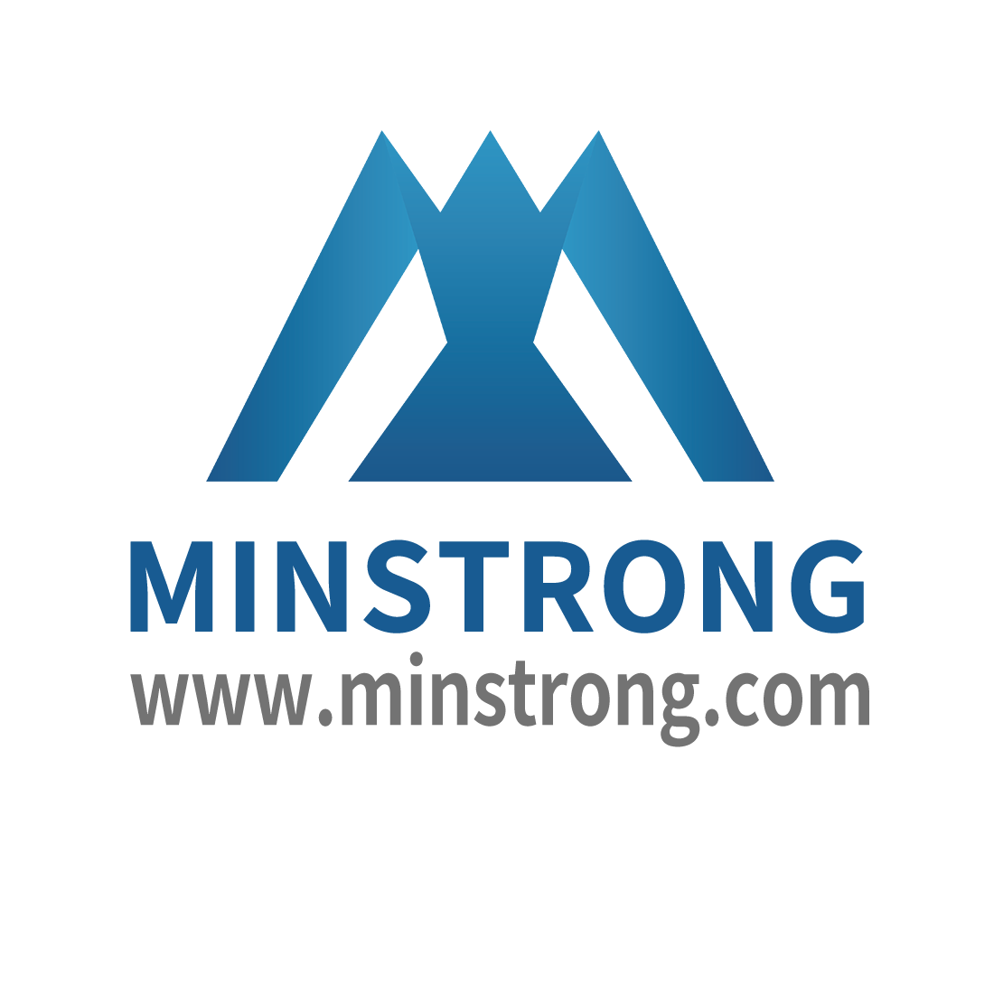 Hunan Minstrong Technology Co., Ltd