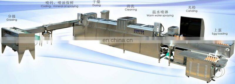 Factory Genyond automatic egg washing breaking egg liquid pasteurization making machine egg powder process plant production line