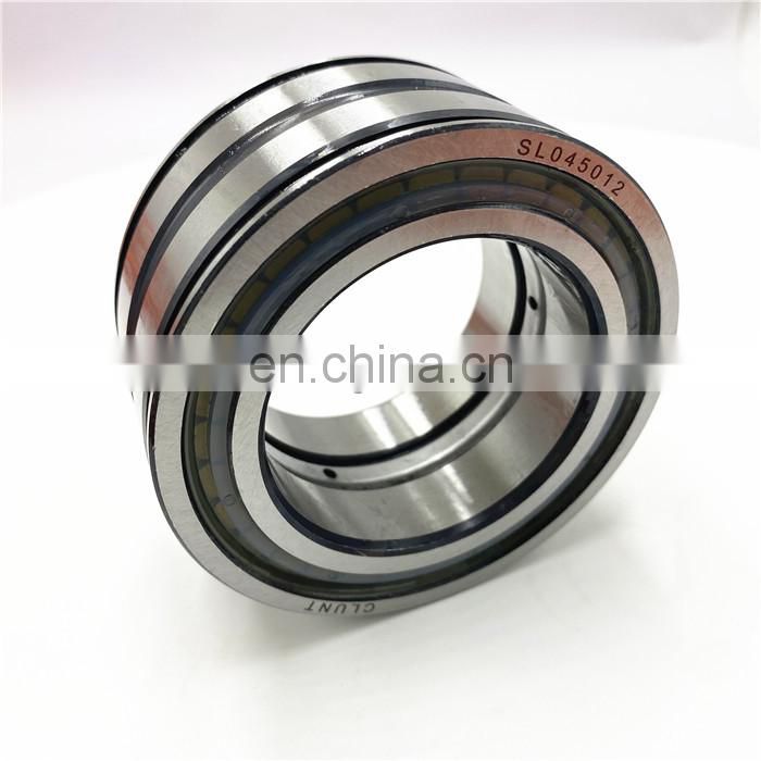 65*100*46mm SL045013PP cylindrical roller bearing SL045013PP