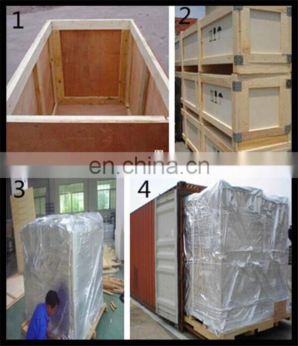 high efficient cumin/angled bittersweet/ chili/ suaeda glauca/burdock seed oil extractor