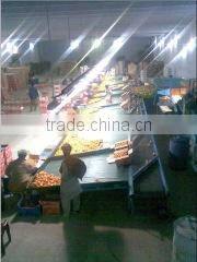 Al Shareed Enterprises company overview - view 1