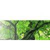 Linyi Guosheng Import And Export Co., Ltd. company overview - view 1