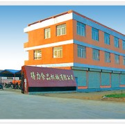 Shandongdelishipinjixie company overview - view 3