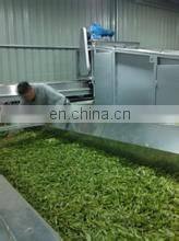 Black tea rolling machine / Black Tea Twisting Machine