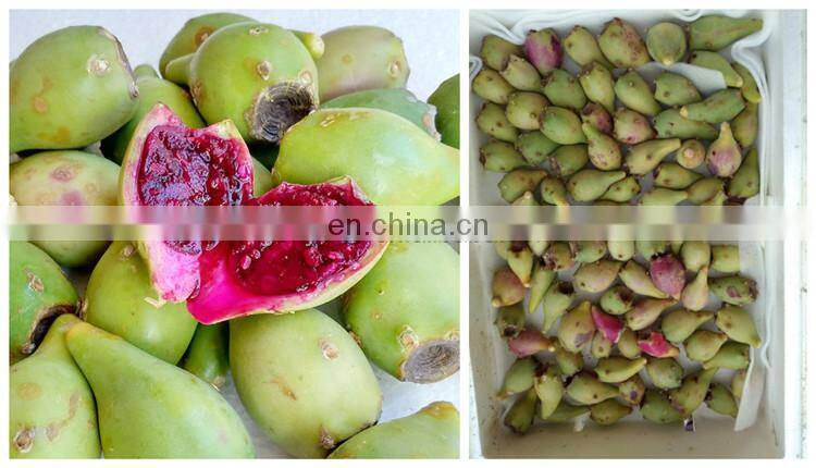 Automatic prickly pear juice process machine / prickly pear juicing equipment