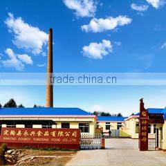 Dingtao Yongxing Food Co., Ltd. company overview - view 2