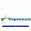 Shaoxing Tiger Nail Co., Ltd.