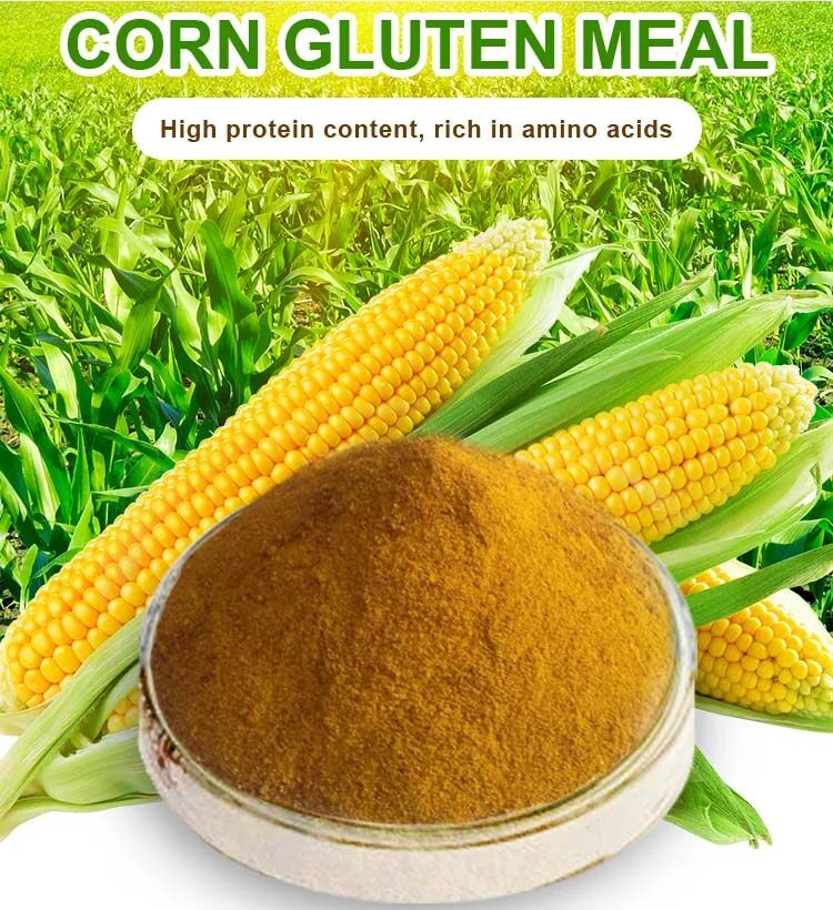 Shandong Brother Feed Co.,Ltd company overview - view 2