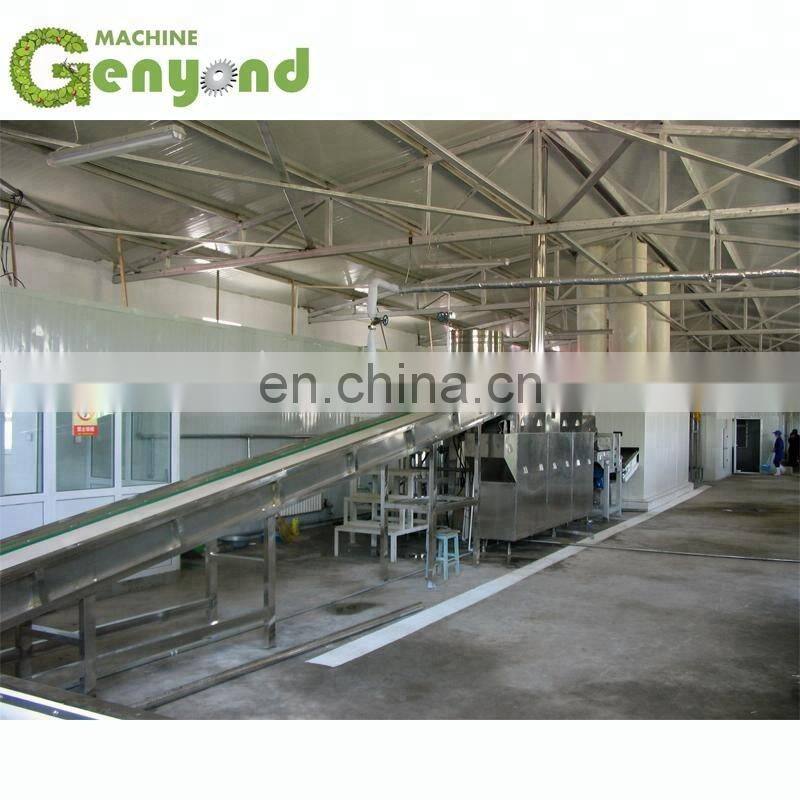 automatic frozen fruit & vegetable processing line