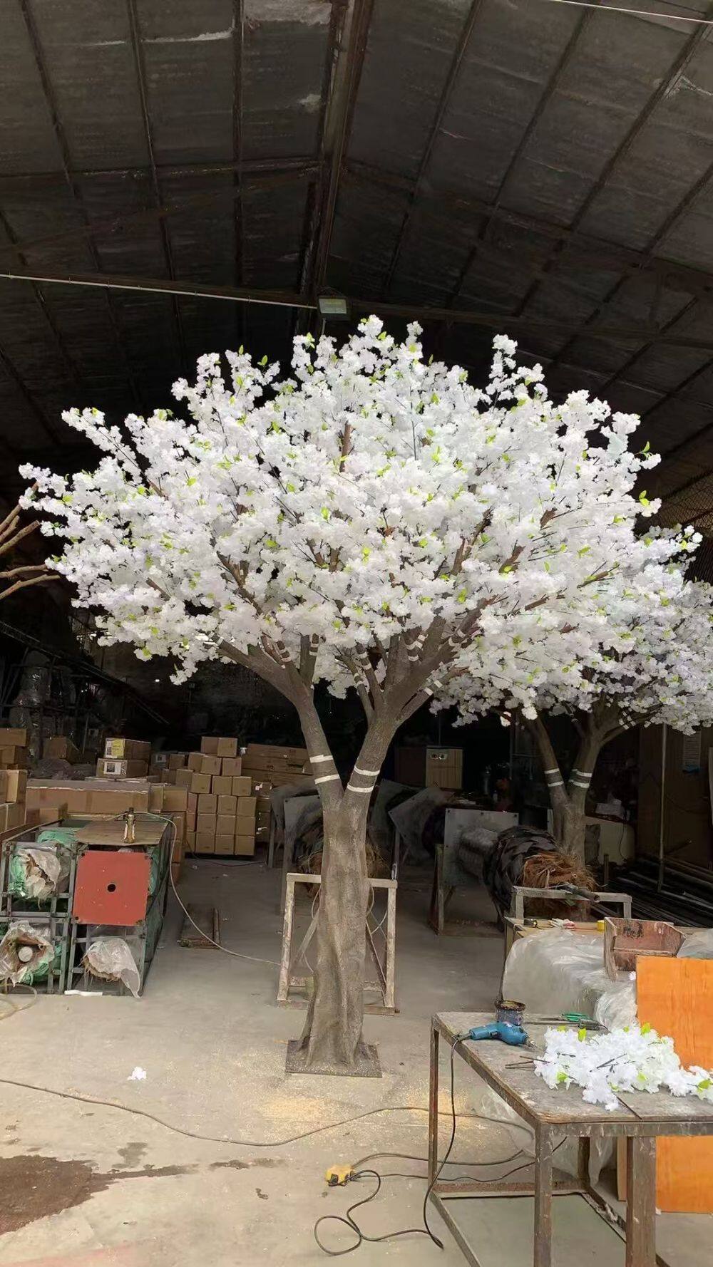 樱花树-cherry (3).jpg