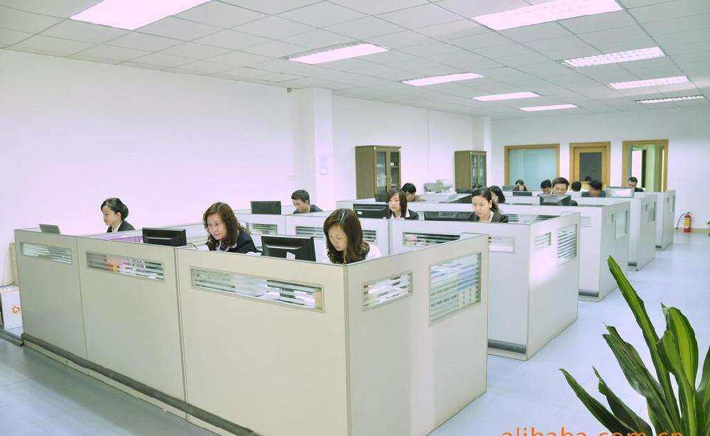 Jiangmen Dingsheng Lighting Co. , Ltd. company overview - view 2