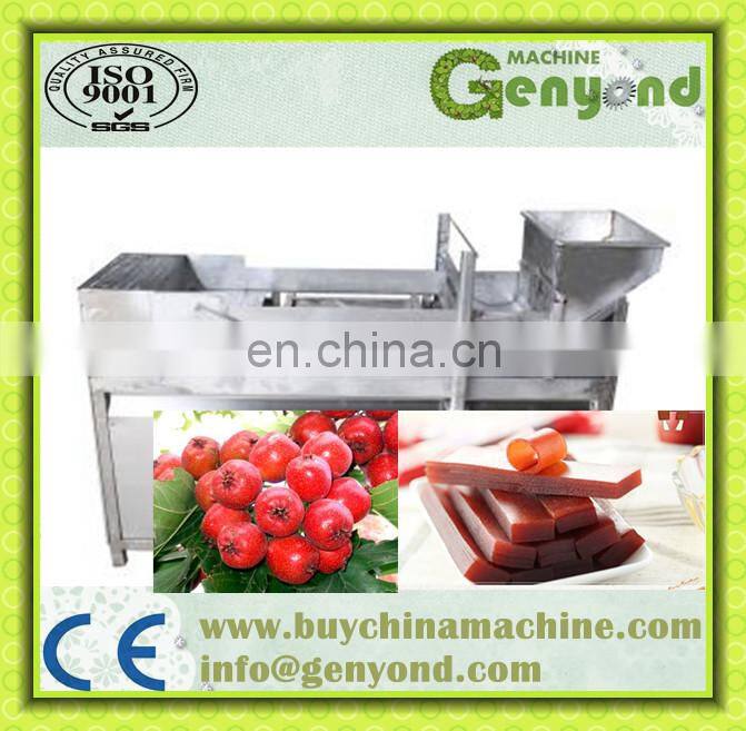 Shanghai factory Automatic Induction fruit roll up scraping forming making processing machine Fruit leather production line