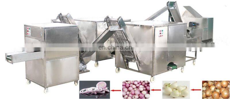 Dehydrated Red Onion Powder processing plant