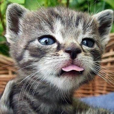 Goldsupplier Tests Store company overview - view 2