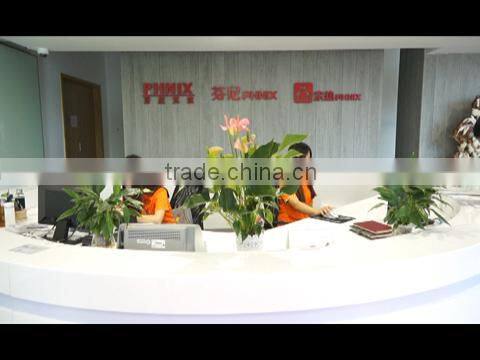 Guangdong PHNIX Eco-Energy Solution Ltd. company overview - view 1