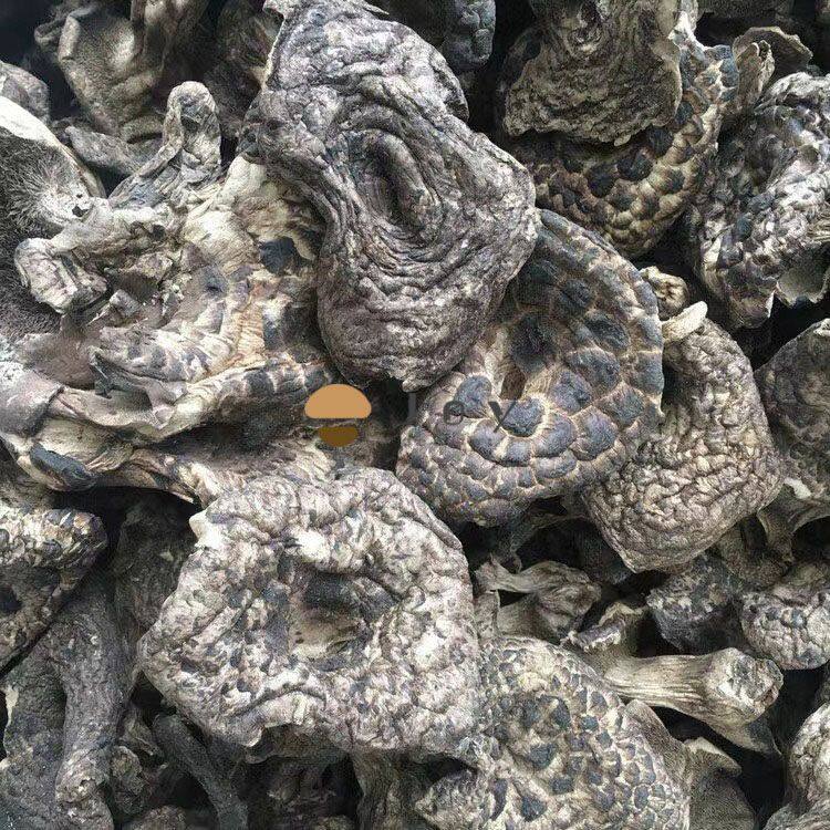 Dried koutake mushroom (2)