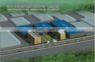 Hebei Longcheng Motor Vehicle Parts Co., Ltd. company overview - view 3