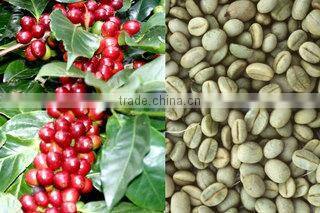 GREEN FAIR TRADE & PRODUCTION COMPANY LIMITED company overview - view 1