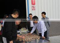 Zhongxiang Xingli Foods Co., Ltd. company overview - view 3